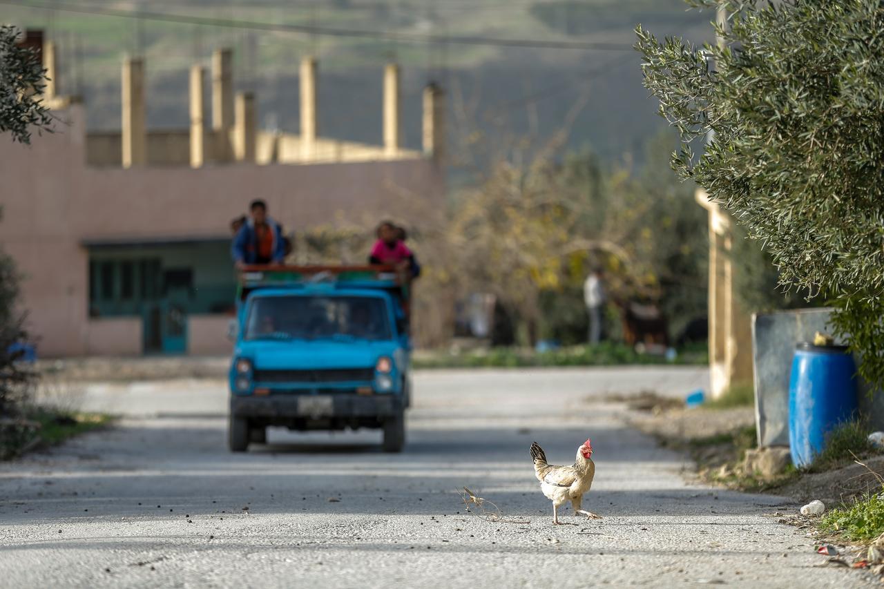 Bed and Breakfast Beit Al Baraka Umm Qays Esterno foto